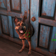Bethesda is well known for their polished, stable, optimized gameplay experiences.